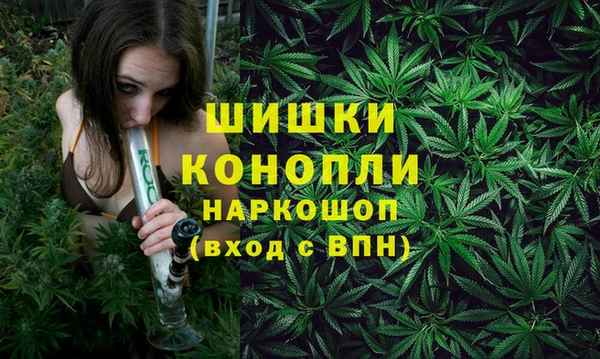 мяу мяу мука Беломорск