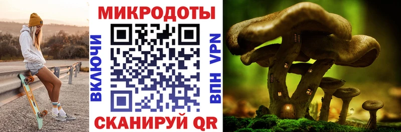 Псилоцибиновые грибы мицелий  Первомайск 